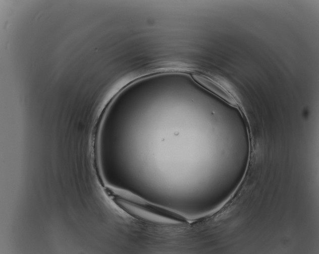 X0000089941243200707061054