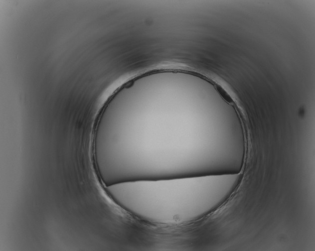 X0000089941245200707061054