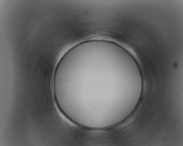 X0000089941247200707061054