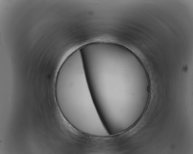 X0000089941248200707061054