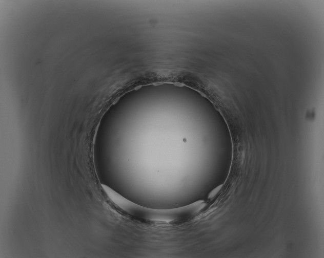 X0000089941249200707061053