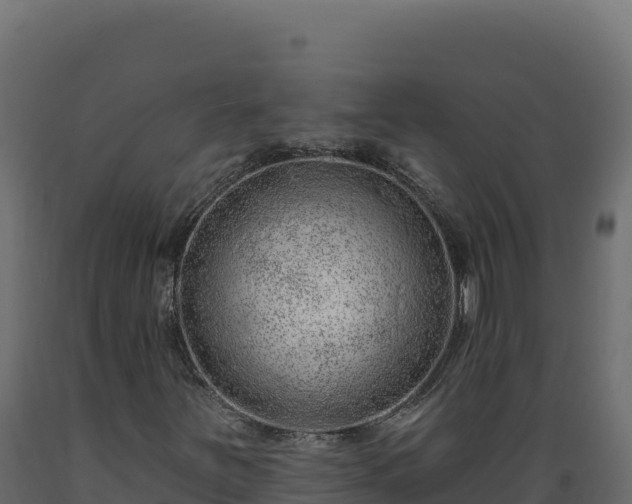 X0000089941251200707061053