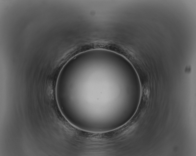 X0000089941252200707061053