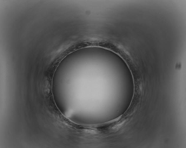 X0000089941253200707061053