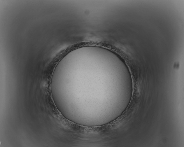 X0000089941254200707061053