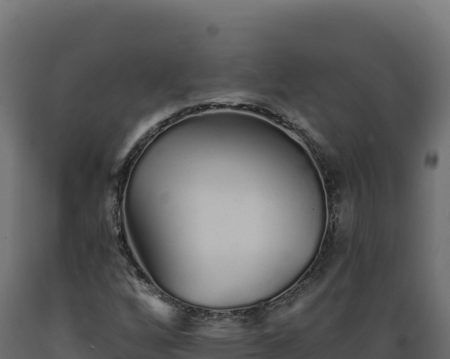 X0000089941256200707061053