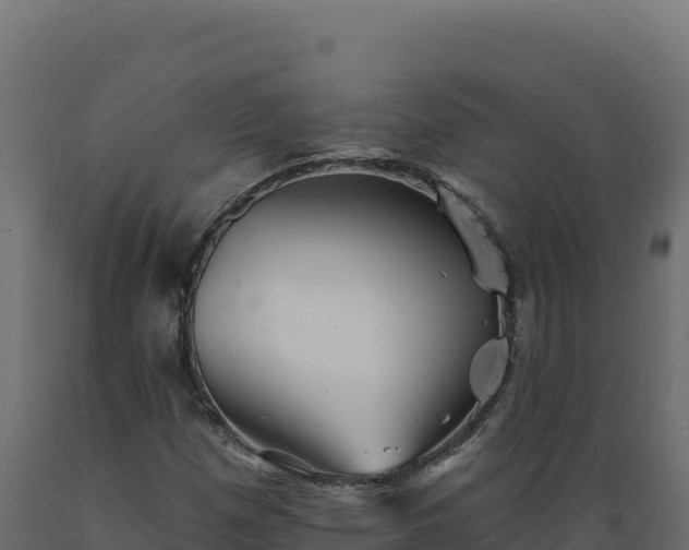 X0000089941257200707061053