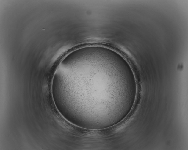 X0000089941259200707061053