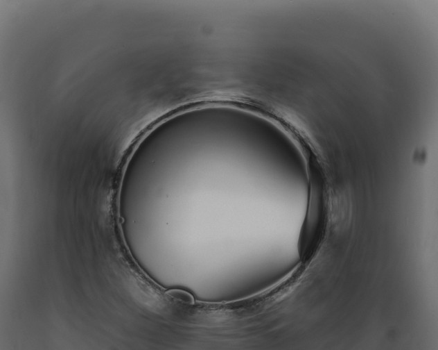 X0000089941260200707061053