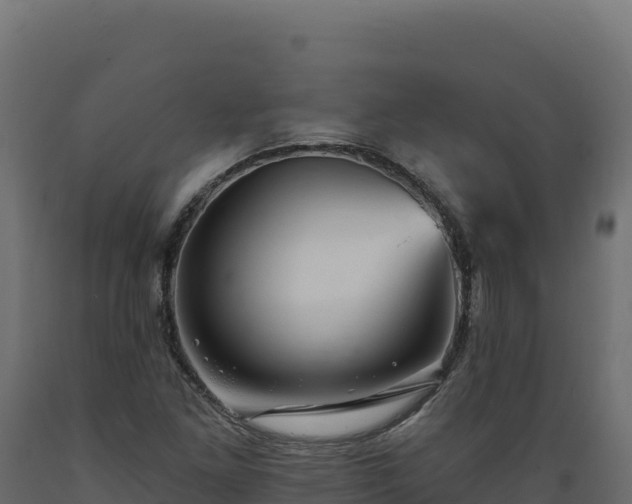 X0000089941261200707061053