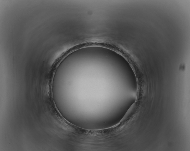 X0000089941262200707061053