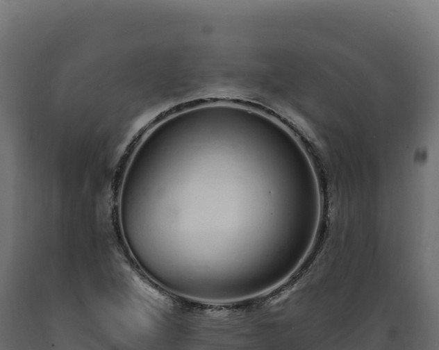 X0000089941264200707061053
