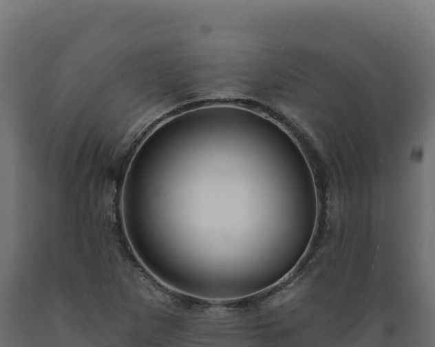 X0000089941265200707061053