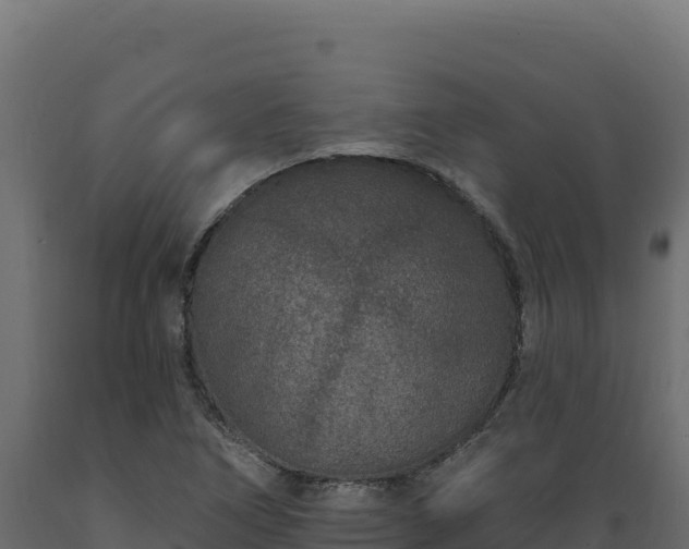 X0000089941266200707061053