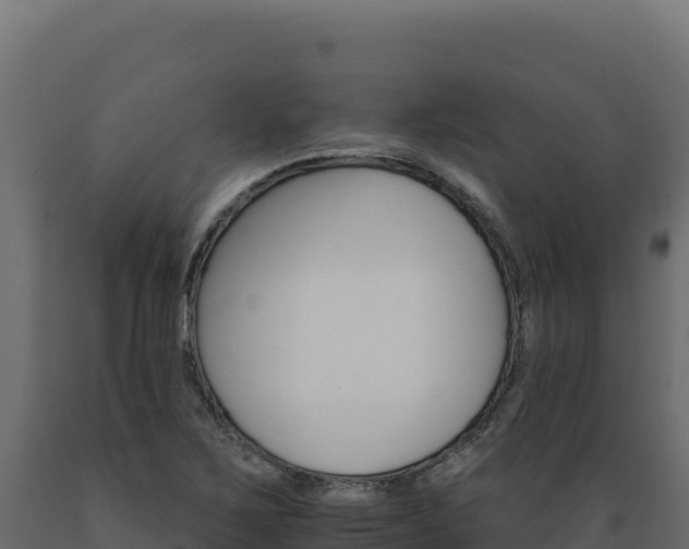 X0000089941267200707061053
