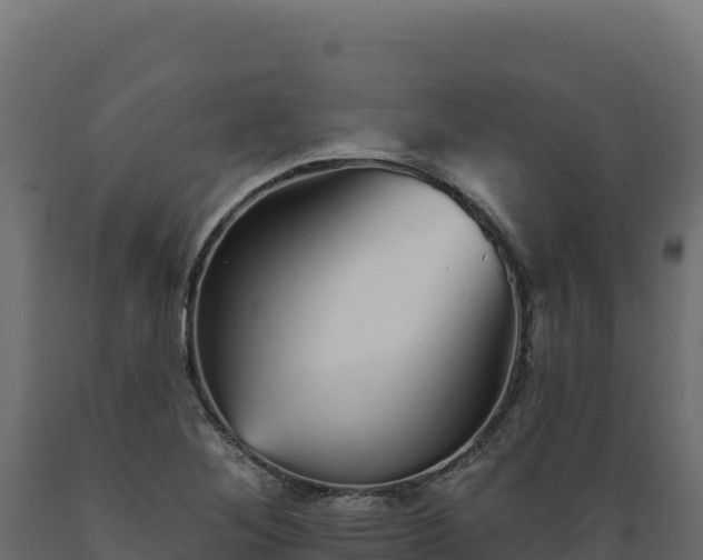 X0000089941268200707061053
