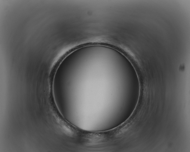 X0000089941270200707061053