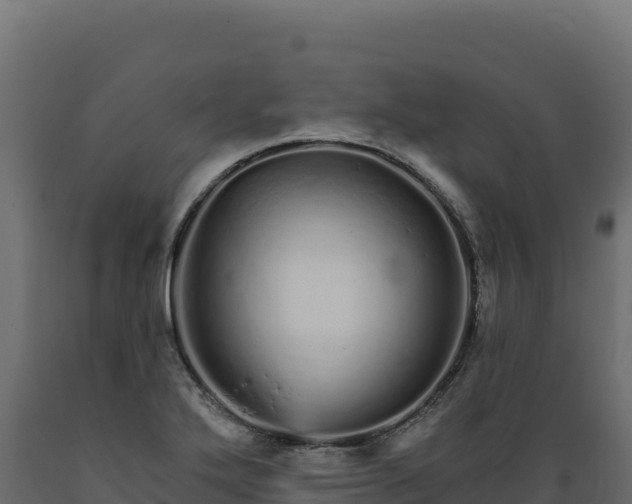X0000089941272200707061053