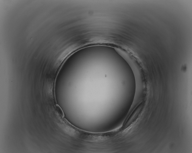 X0000089941273200707061053