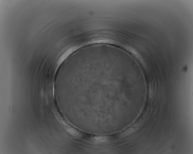 X0000089941274200707061053