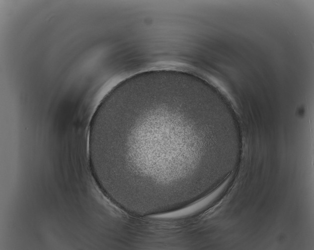X0000089941275200707061053