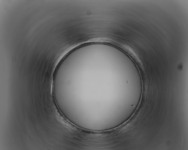 X0000089941276200707061053