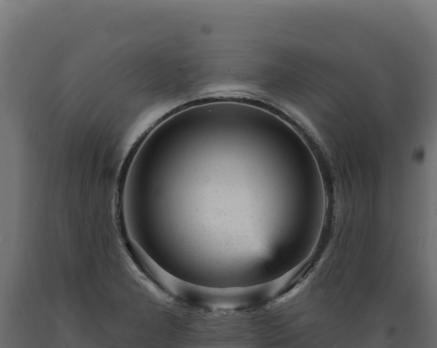 X0000089941277200707061053