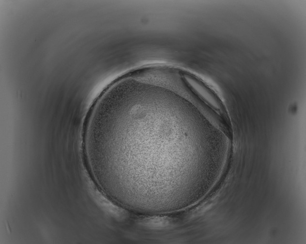 X0000089941279200707061053