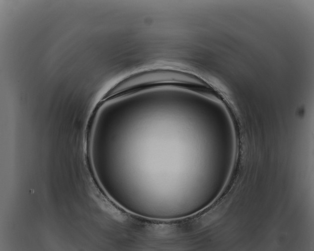 X0000089941280200707061053
