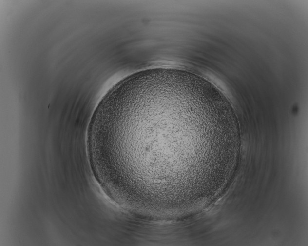 X0000089941283200707061053