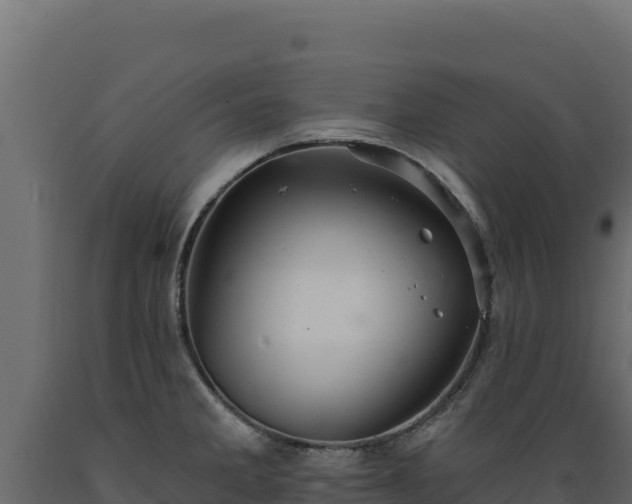 X0000089941285200707061053