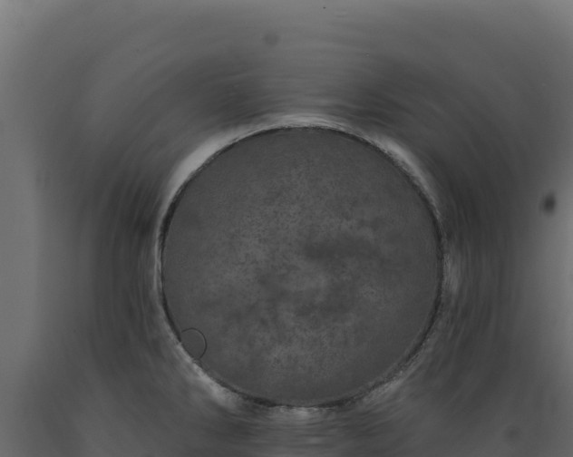 X0000089941286200707061052