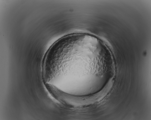 X0000089941287200707061052