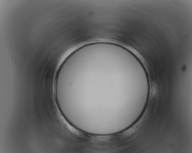 X0000089941294200707061052