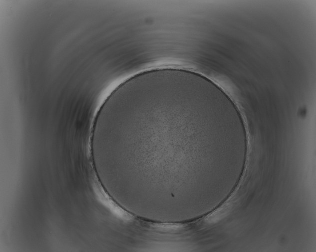 X0000089941296200707061052