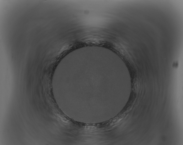 X0000089941297200707061052