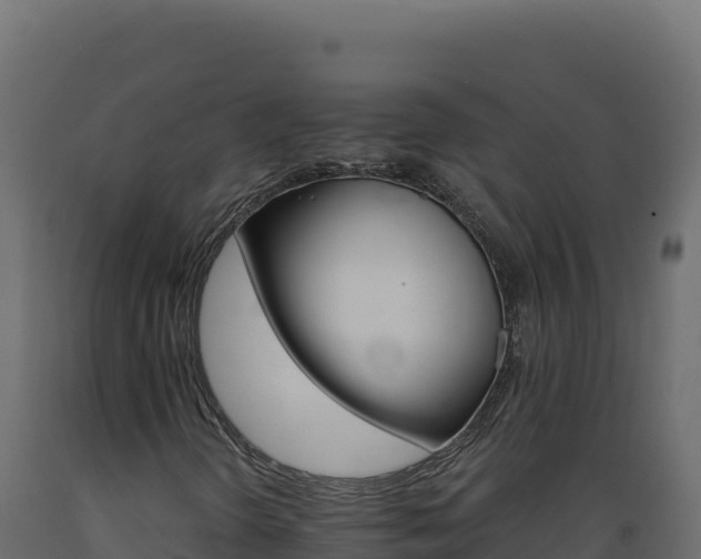 X0000089941298200707061052