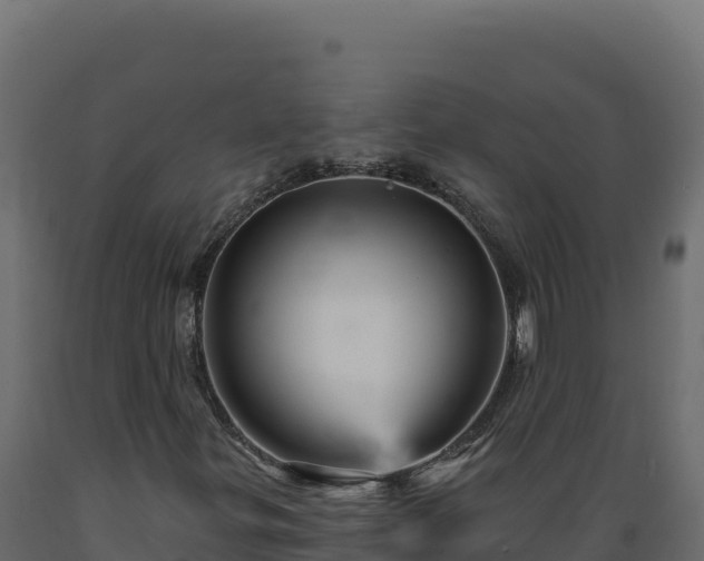X0000089941299200707061052
