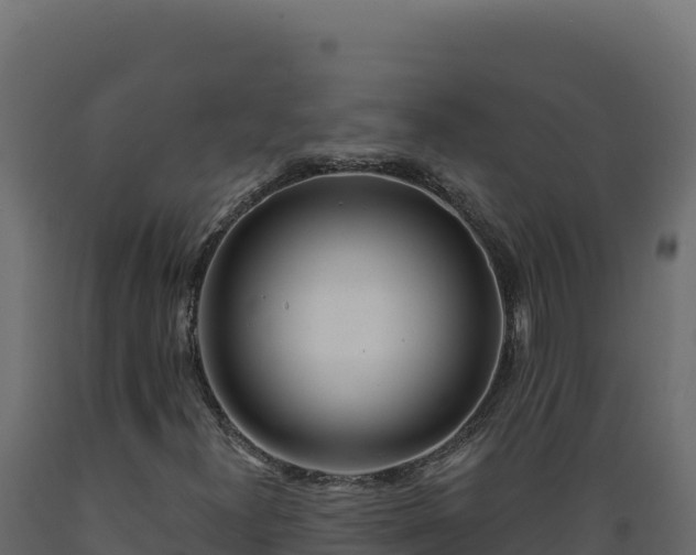 X0000089941300200707061052