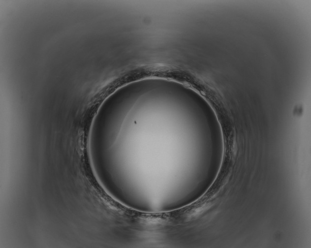 X0000089941301200707061052