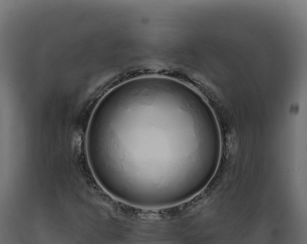 X0000089941302200707061052