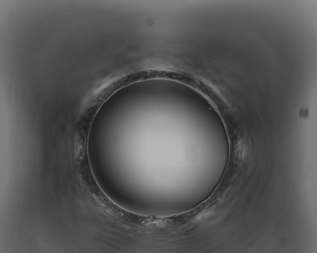 X0000089941303200707061052