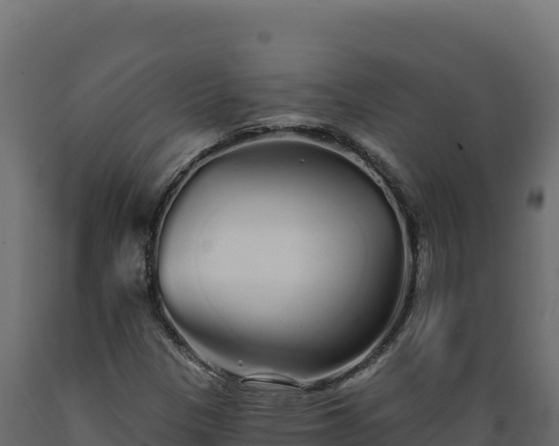X0000089941305200707061052