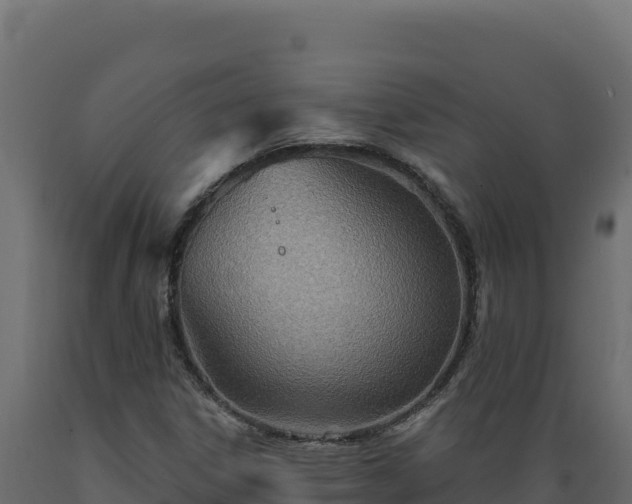 X0000089941306200707061052