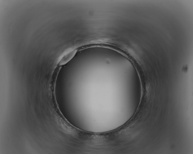 X0000089941308200707061052
