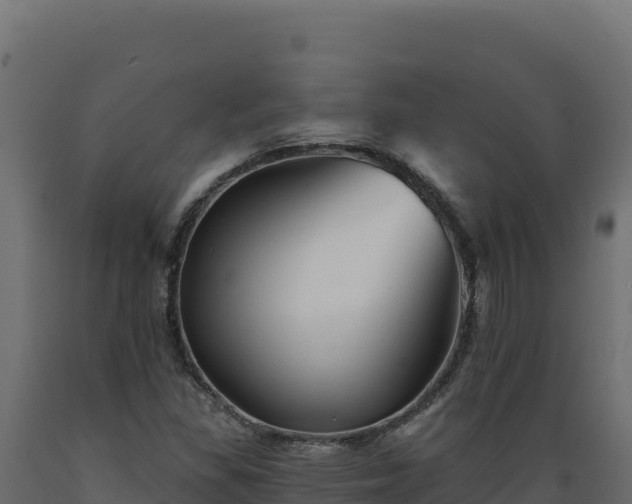 X0000089941309200707061052