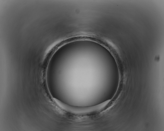 X0000089941310200707061052