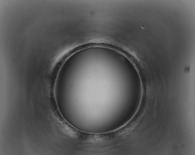 X0000089941311200707061052