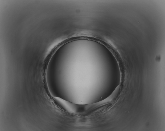 X0000089941312200707061052