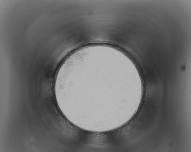 X0000089941314200707061052